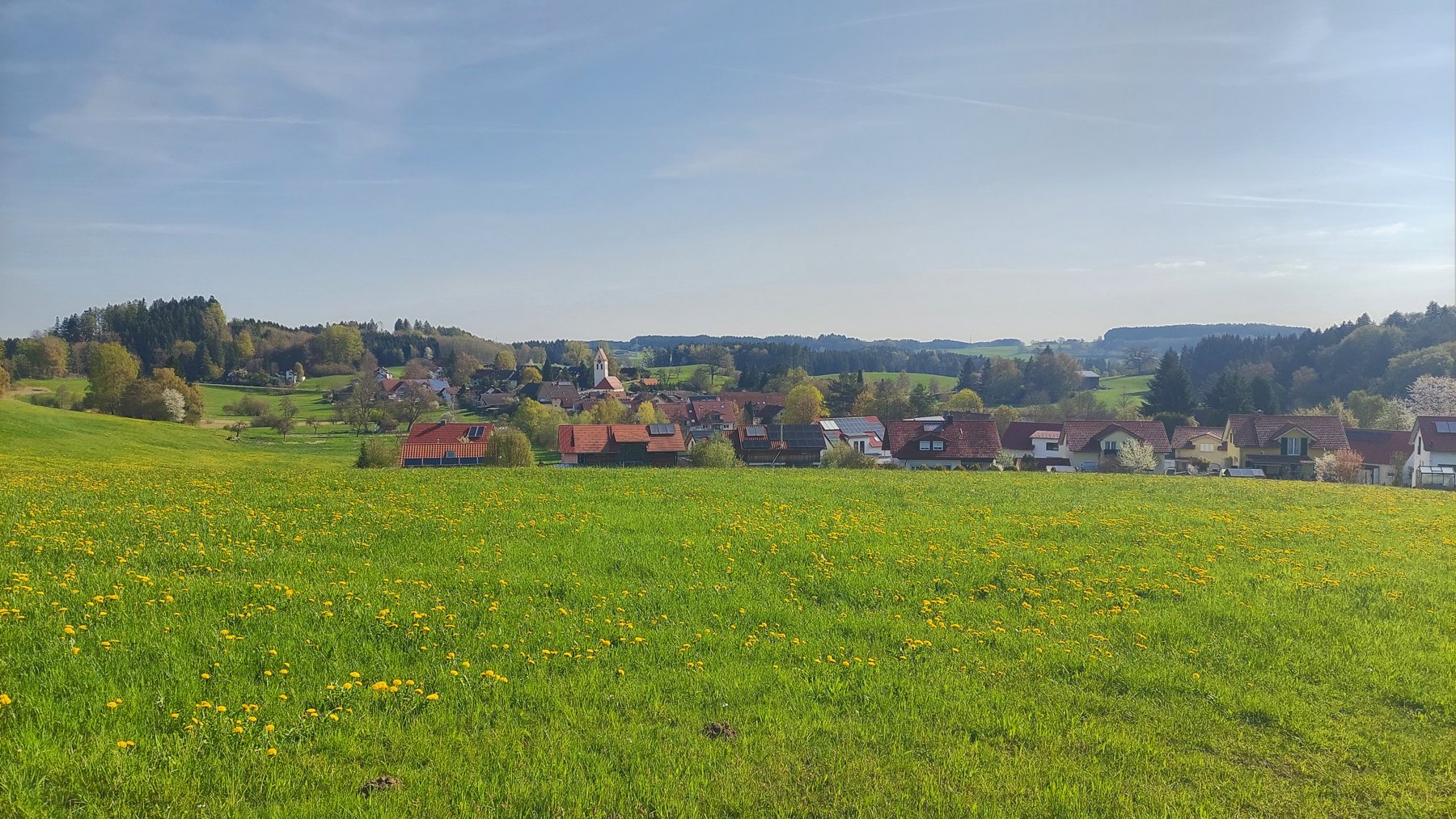 Blick über den Karsee bei Wangen im Allgäu